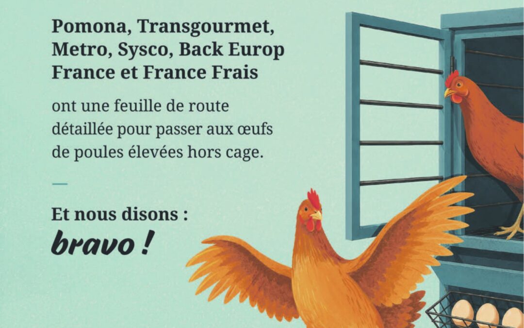 Distributeurs RHD 25